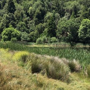 Meet your Posher, Charlene